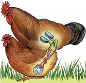 image.png