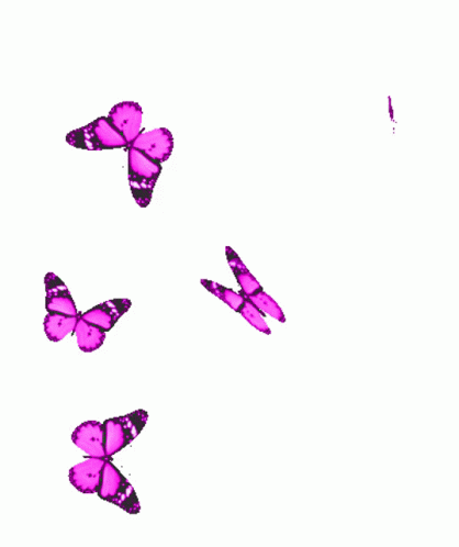 e5afccb9ff2f7c01a4cddb93b2181725.gif