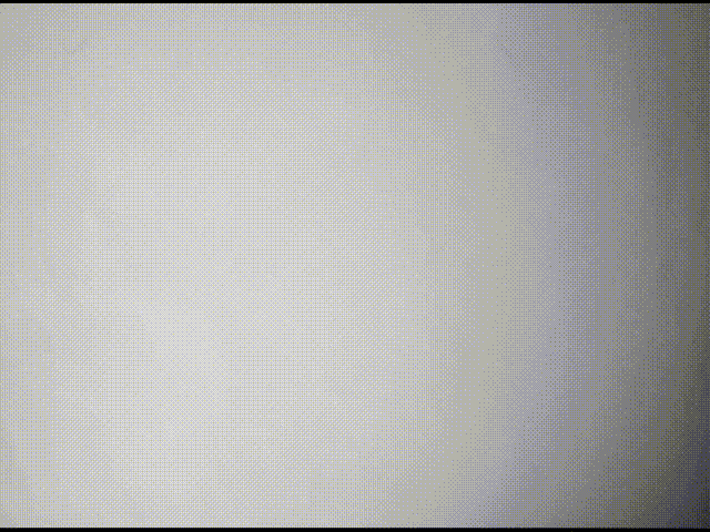 vienna bball f01.gif