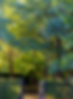 Screenshot 2024-12-05 at 11.54.36 AM