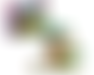 LEGO FRIENDS Friendship Tree House Hangout