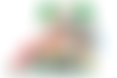 Moose Toys Bluey Supermarket Playset