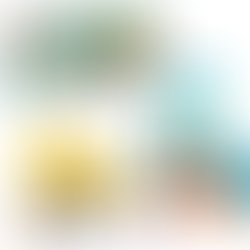 LEGO DUPLO: My First Creative Vehicles