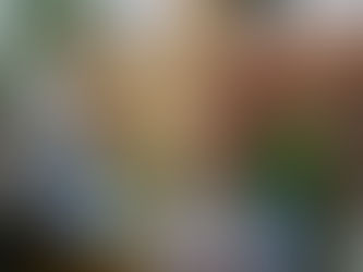 Blueberry Ginga Fizz | Mocktail Recipe