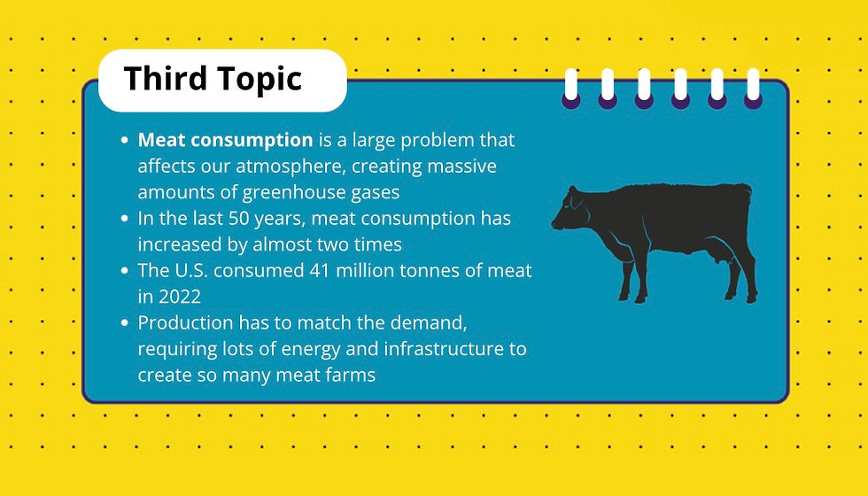 Meat Consumption