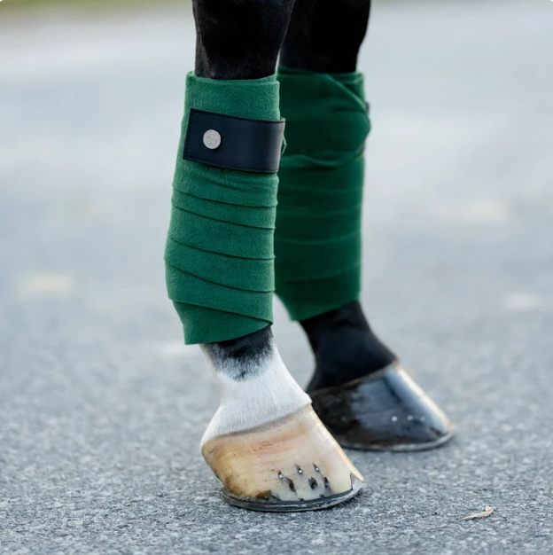 Dapplebay Sport Polo Wraps - Evergreen