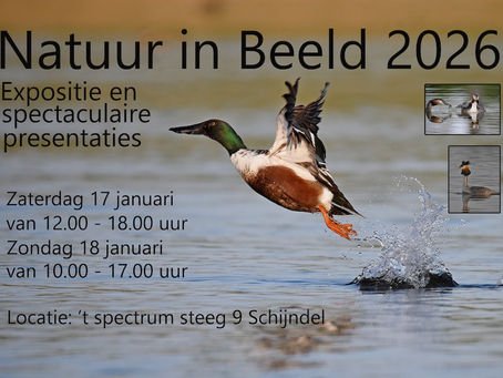 Expositie Natuur in Beeld, 17+18 januari 2026 Middelrode