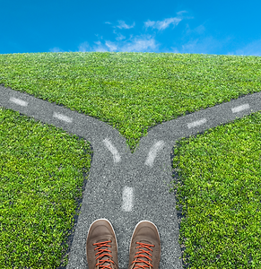 BTG Art 1 (2)_edited.png