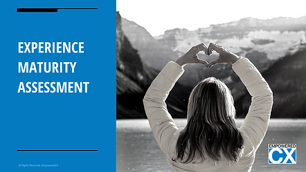 EXPERIENCE MATURITY ASSESSMENT