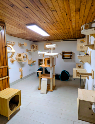 Salle de jeux