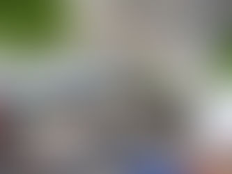 MIS recebe primeira edição do ano da Feira das Ideias, com entrada gratuita