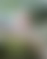 8ª edição do Brooklin Taste acontece nos dias 12 e 13 de abril