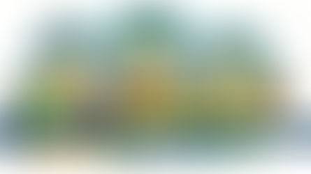 How Do IRS Catch-Up Contribution Limits for 2026 Work?