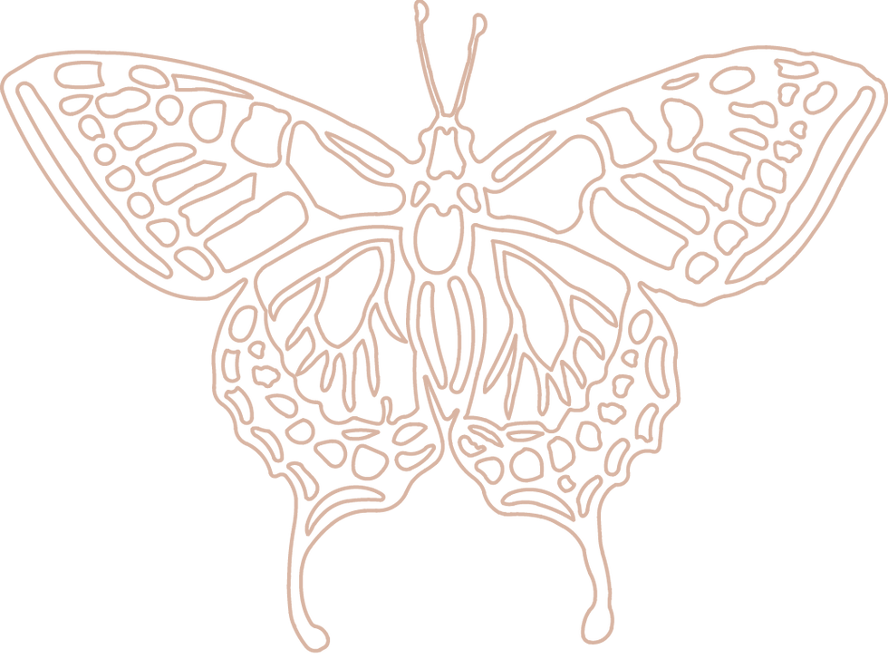 Schmetterling_Outlines_web.png