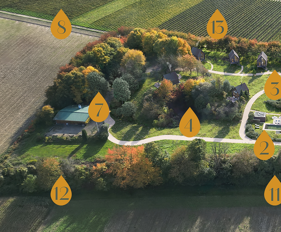 Vinea Lodges Baumhaus Lodges Tanklager Markgräflerland