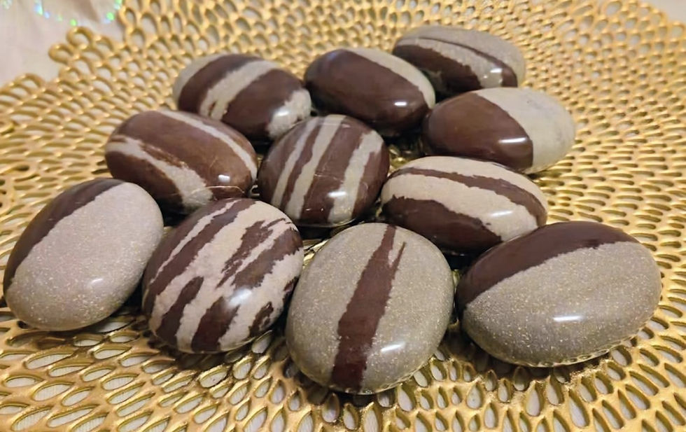 Polished Narmada stones with smooth brown and beige banding, arranged on a textured golden surface.