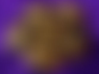 Polished brown and golden palm stones with shimmery striations arranged on a deep purple velvet background. The smooth, oval stones reflect light, highlighting their layered mineral patterns.