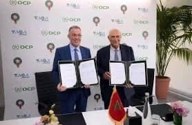 علاش لا، لقجع وزيرا للصحة، لقجع وزيرا للتعليم، لقجع وزيرا للشغل…