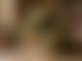 Kış Kavunu Bakım Rehberi — Sonbahardan Kışa Taşınan Lezzet