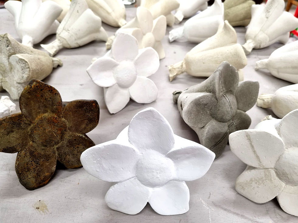 Miniaturbild: whiteflower