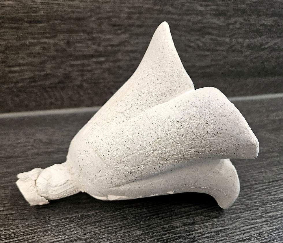 Miniaturbild: whiteflower