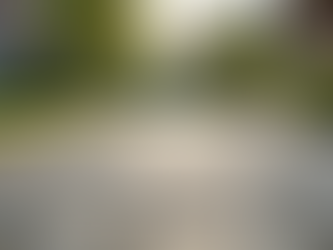 Why Choose Professional Paver Driveway Services?