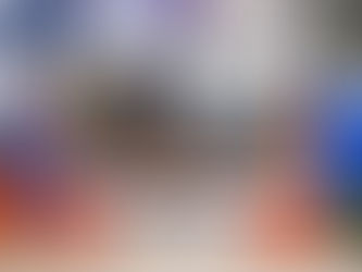 Lynne Bijl regiokampioen!