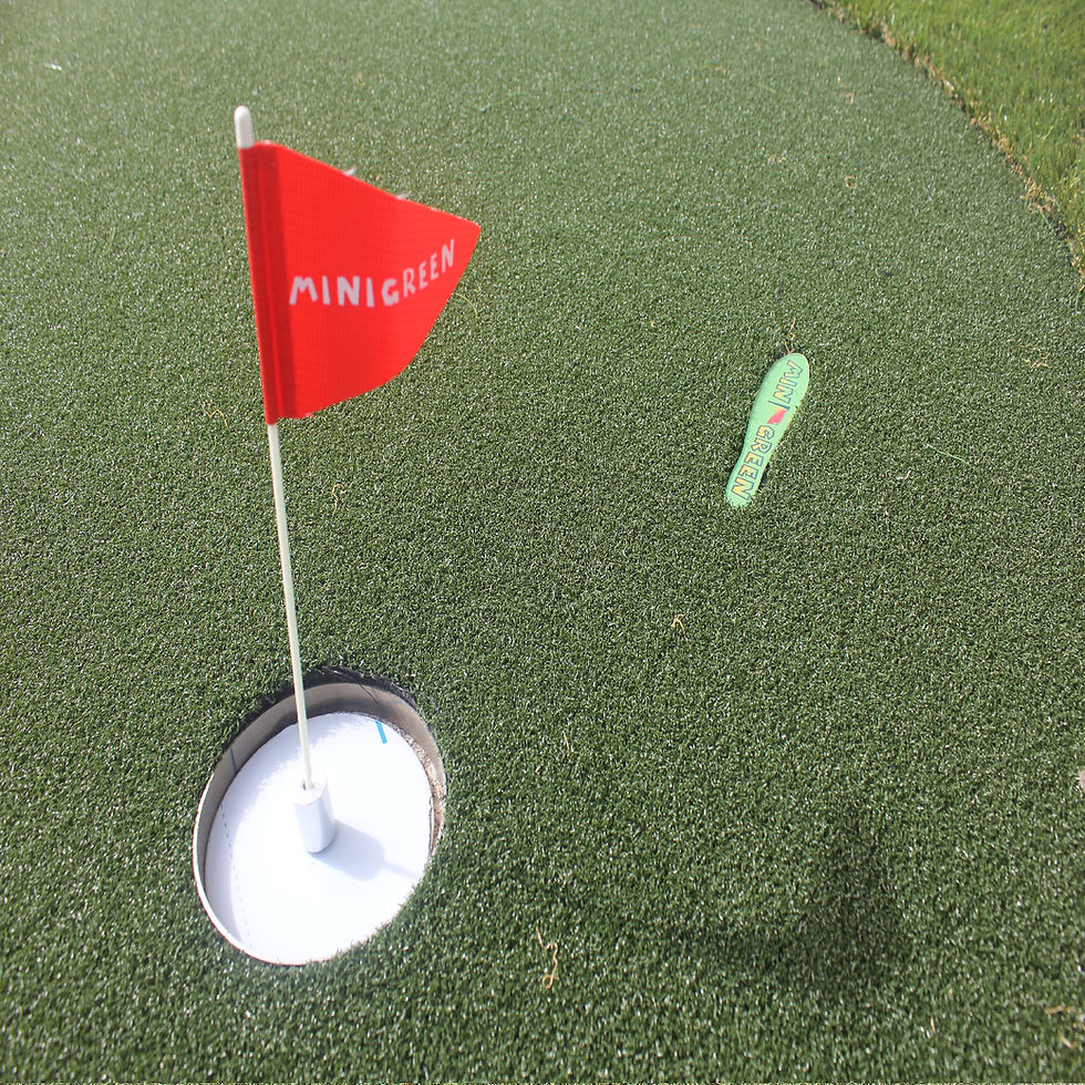 ภาพขนาดย่อ: หญ้าเทียมซ้อมพัตต์ / Mini Green Professional