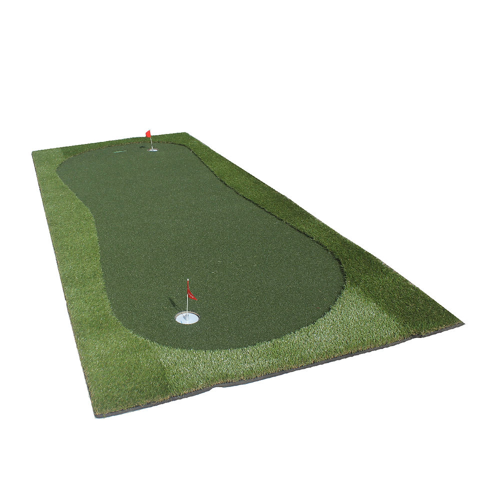 ภาพขนาดย่อ: หญ้าเทียมซ้อมพัตต์ / Mini Green Professional