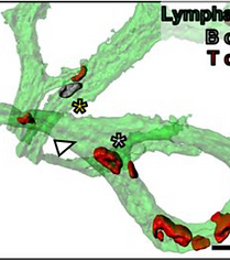 Screenshot 2022-12-19 at 12.06.52.png