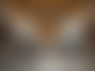 The Hagia Sophia: A Testament to Byzantine Architecture