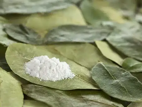 The Hypocrisy of the American War on Drugs: Government Profits and Global Double Standards