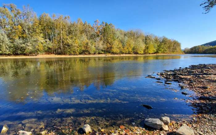 Chemung River 2.jpeg