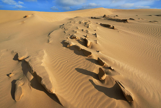 silver-lake-sand-dunes-dean-pennala.jpeg