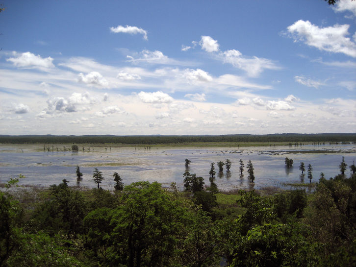Mingo_National_Wildlife_Refuge.jpeg