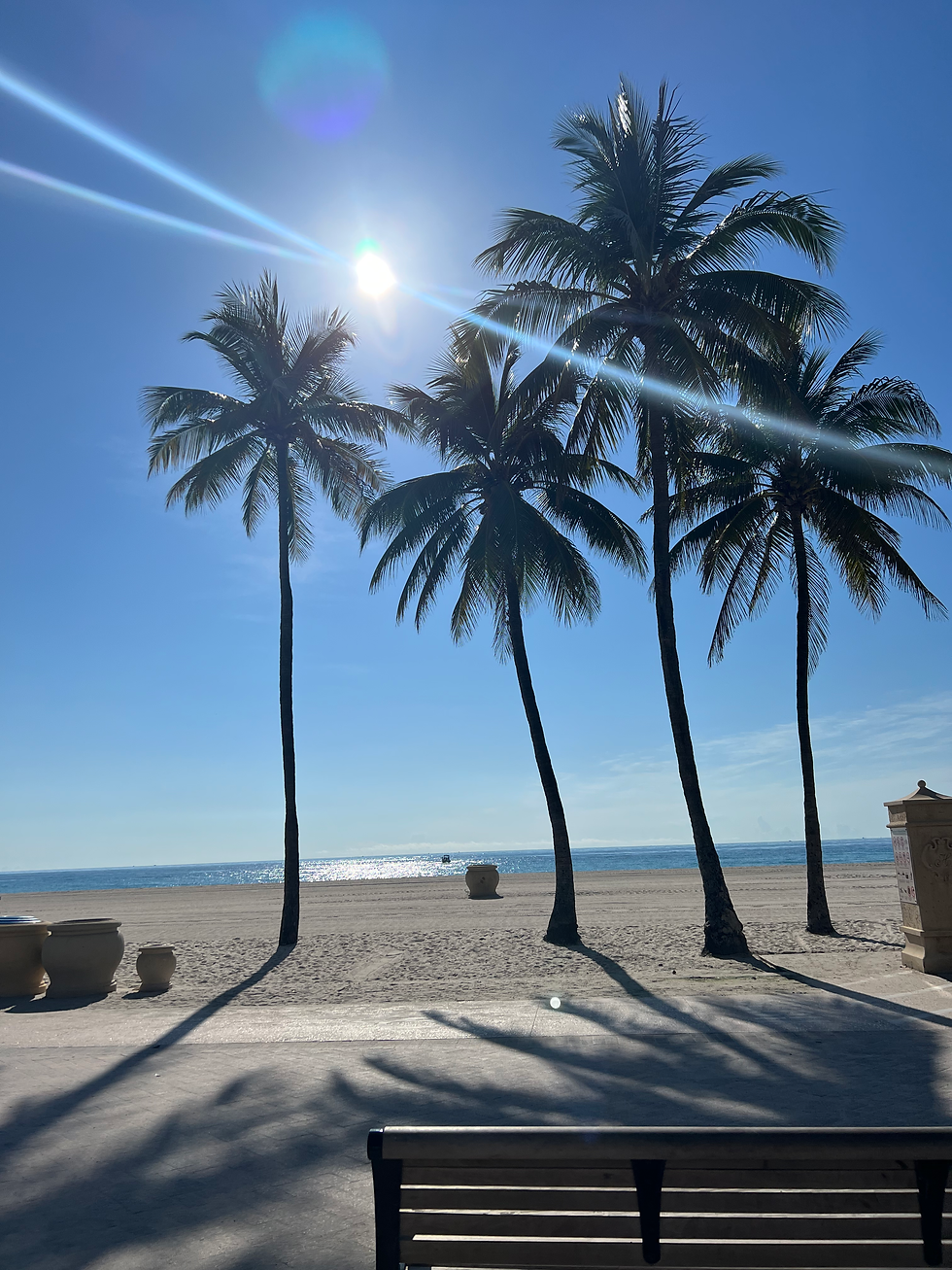 Hidden Gems in Hollywood, FL