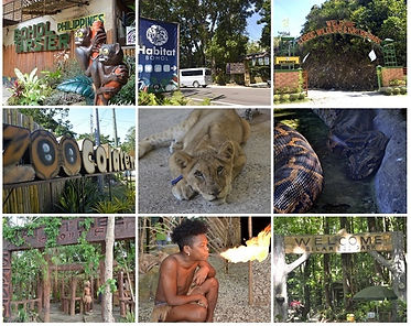 page eco zoo.jpg