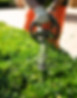 shutterstock_2208158765.jpg