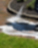 shutterstock_2263600823.jpg