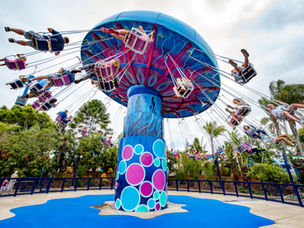 Dive into 2025 with SeaWorld San Diego’s Fun Card: Unlimited Thrills Await!