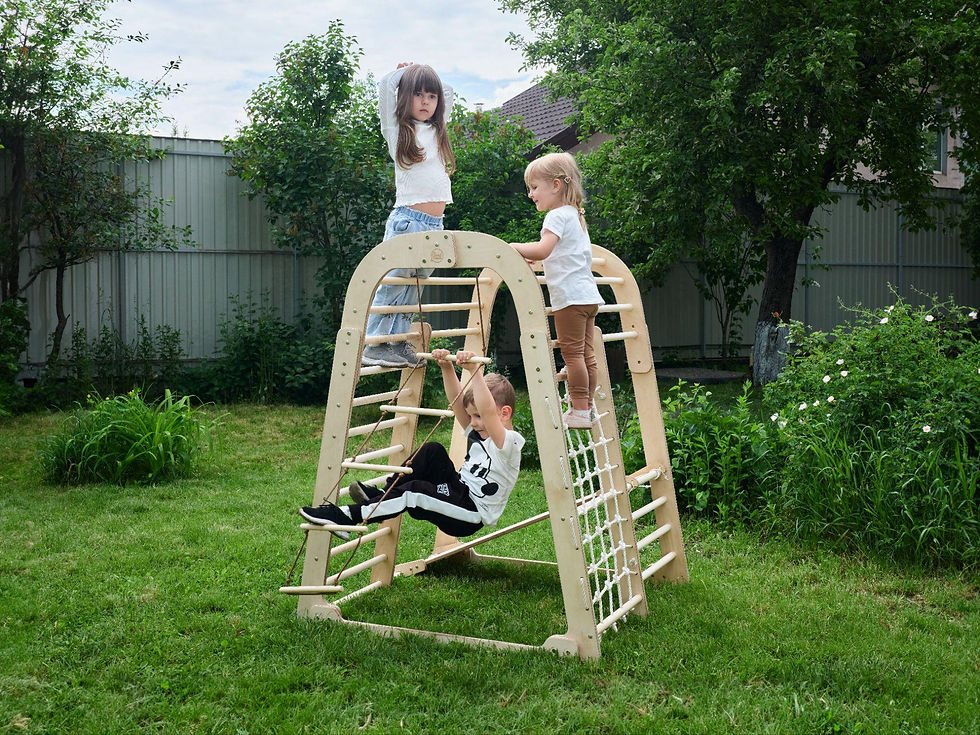 Advantages of an indoor wooden playground for children