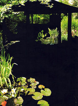 jardines sombra 10.jpg