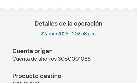 Ejemplo Boleta.jpg
