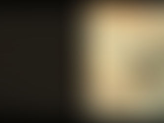 L’Oiseau : Liberté et Connexion Spirituelle