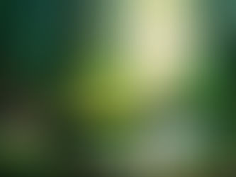 ✨ « Une forêt où les contes prennent vie et où l’inconscient veille derrière chaque tronc… Oserez-vous vous y aventurer ? » 🌲🦊