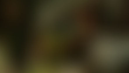 लड़के ने लड़की को प्यासा ही छोड़ दिया वीडियो 