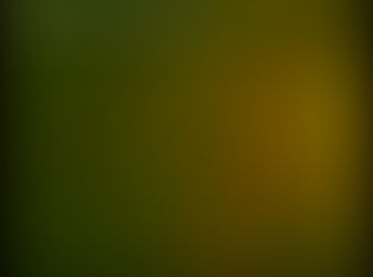 xxx sexy porn videos