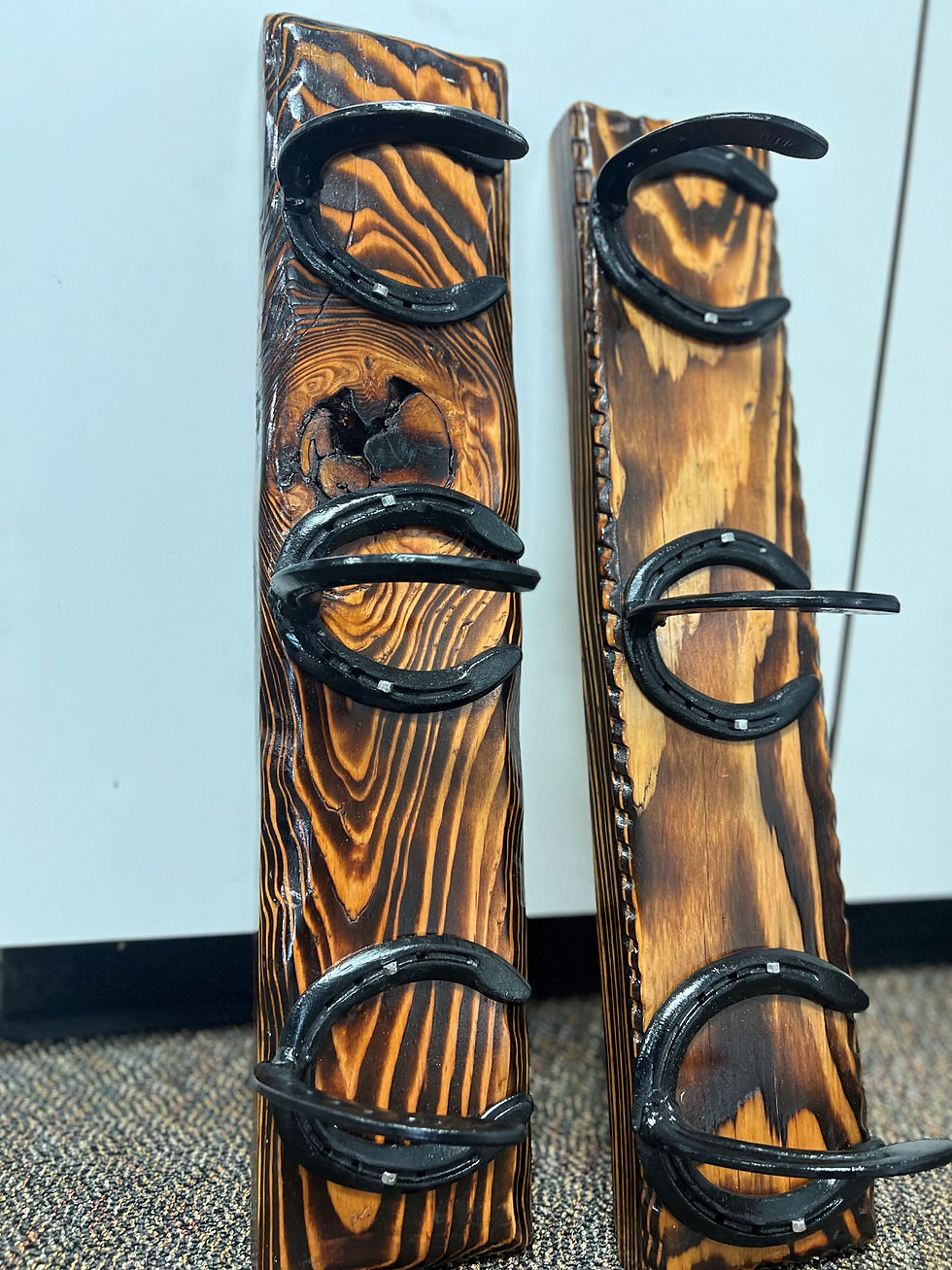 Horseshoe Racks for Sale!