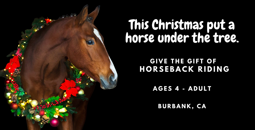 This Christmas Ad.png