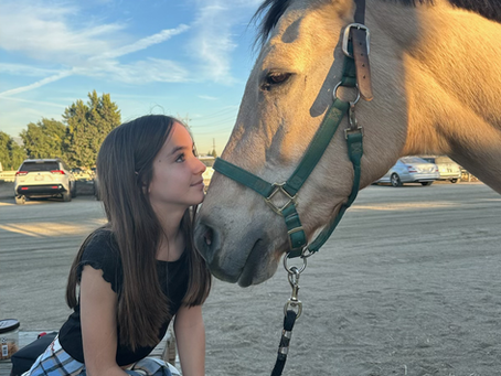 Choosing a Summer Camp 2026